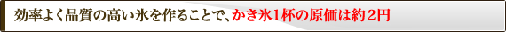 ２種類の氷形状